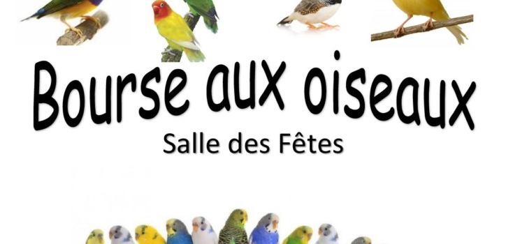 La Bourse aux Oiseaux de la SLADO du 27 septembre 2026