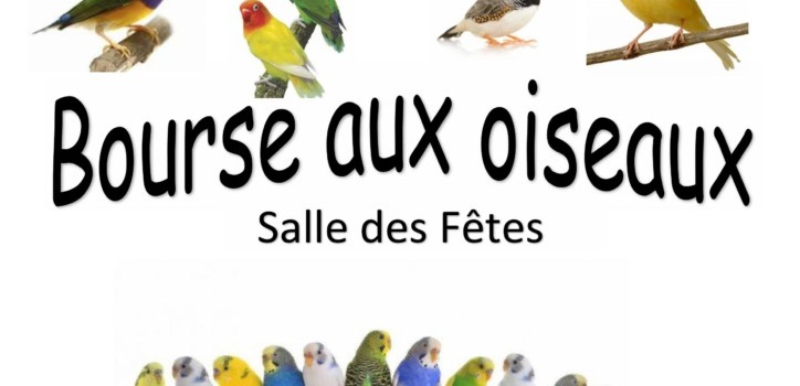La Bourse aux Oiseaux de la SLADO du 1er mars 2026
